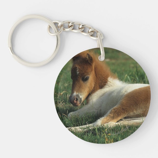 Miniature Foal Laying Down Keychain (Front)