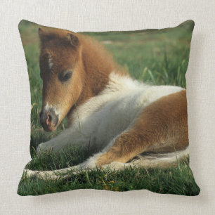 Miniature Foal Laying Down Throw Pillow