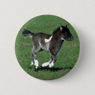 Miniature Foal Running 2 Inch Round Button