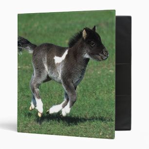 Miniature Foal Running Binder