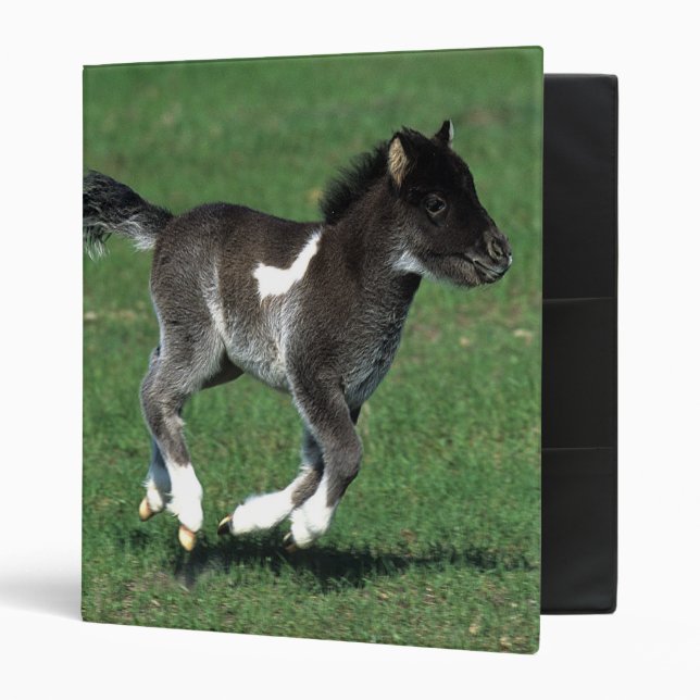 Miniature Foal Running Binder (Front/Inside)