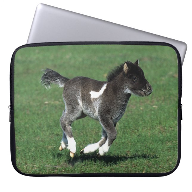 Miniature Foal Running Laptop Sleeve (Front)