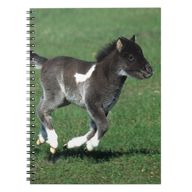 Miniature Foal Running Notebook (Front)