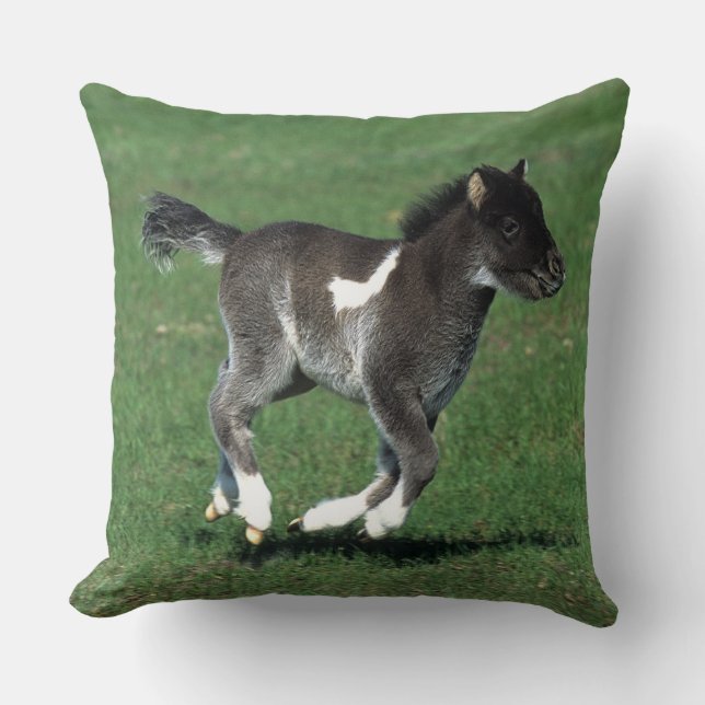 Miniature Foal Running Throw Pillow (Front)