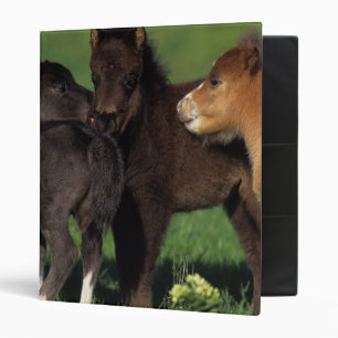 Miniature Foals 1 Binder
