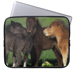 Miniature Foals 1 Laptop Sleeve