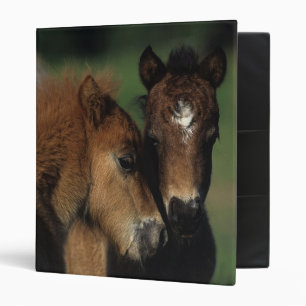 Miniature Foals 2 Binder