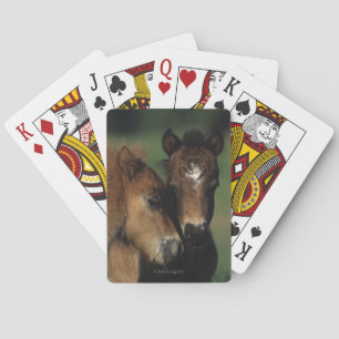 Miniature Foals 2 Playing Cards