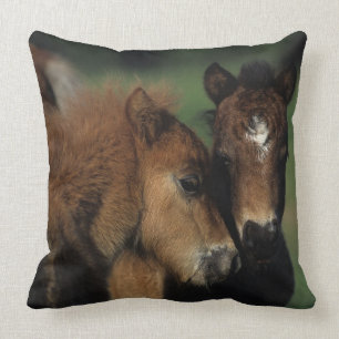 Miniature Foals 2 Throw Pillow