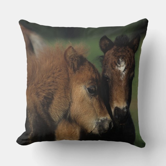 Miniature Foals 2 Throw Pillow (Front)