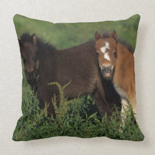 Miniature Foals in Grass Throw Pillow
