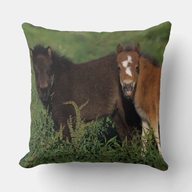 Miniature Foals in Grass Throw Pillow (Front)
