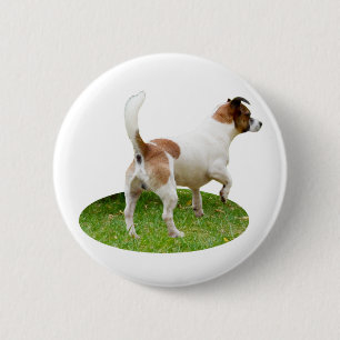 Miniature Fox Terrier Alert, Round Badge 2 Inch Round Button