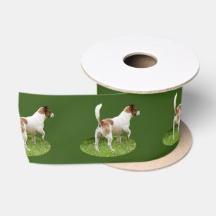 Miniature Fox Terrier Alert, Satin Ribbon