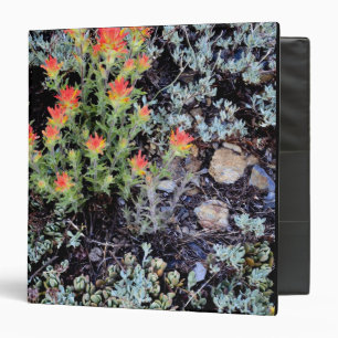 Miniature Garden at Gem Lake Binder