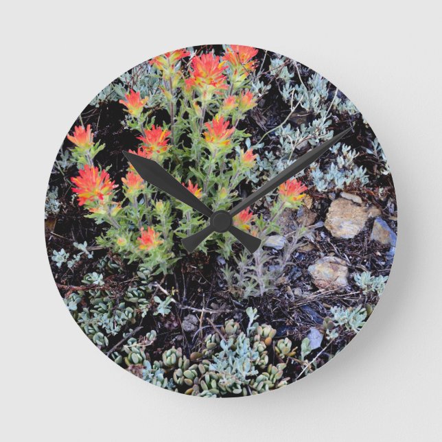 Miniature Garden at Gem Lake Round Clock (Front)