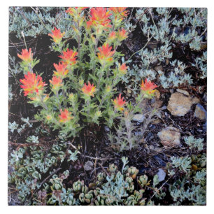 Miniature Garden at Gem Lake Tile