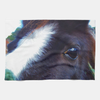 miniature horse face close-up kitchen towel