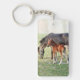 Miniature Horse Foal - Customized Colt & Filly Keychain