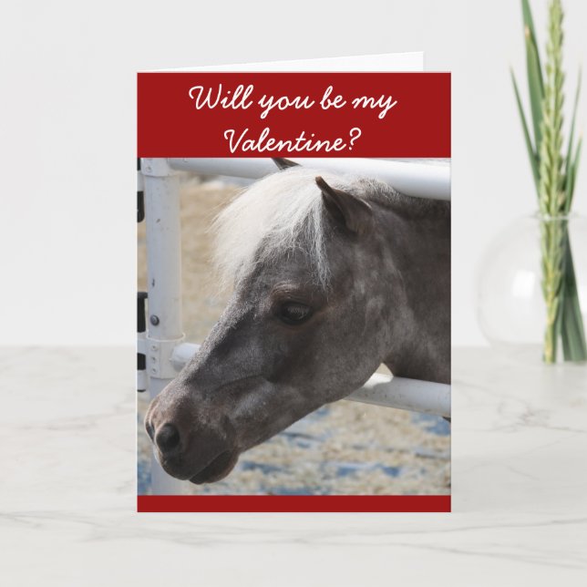 Miniature horse greeting card (Front)