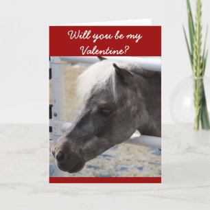 Miniature horse greeting card