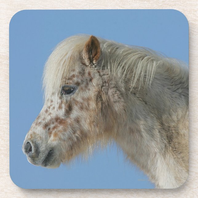 Miniature Horse Headshot Coaster (Front)