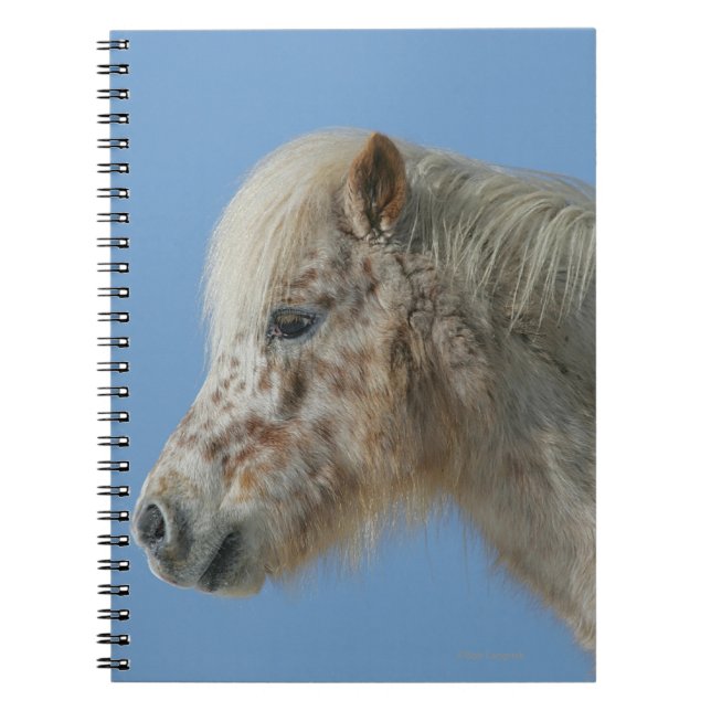 Miniature Horse Headshot Notebook (Front)