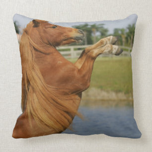 Miniature Horse Rearing Throw Pillow