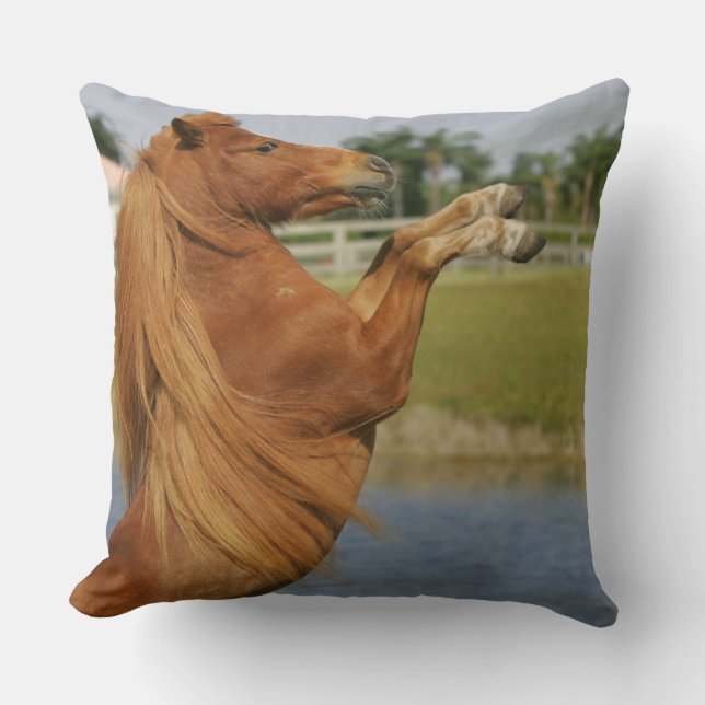 Miniature Horse Rearing Throw Pillow (Front)