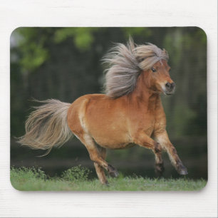 Miniature Horse Running Mouse Pad