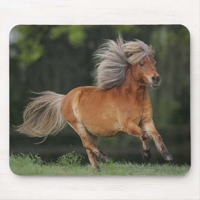 Miniature Horse Running Mouse Pad (Front)