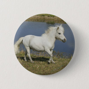 Miniature Horse Running Near Water 2 Inch Round Button