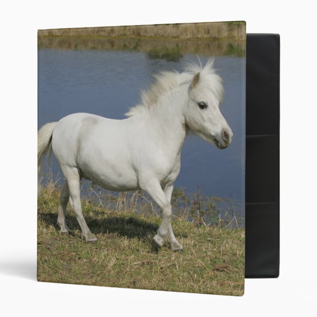 Miniature Horse Running Near Water Binder (Front/Inside)