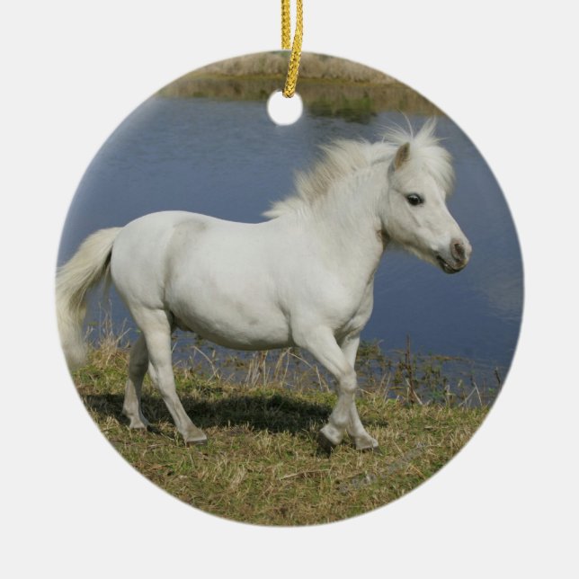 Miniature Horse Running Near Water Ceramic Ornament (Front)