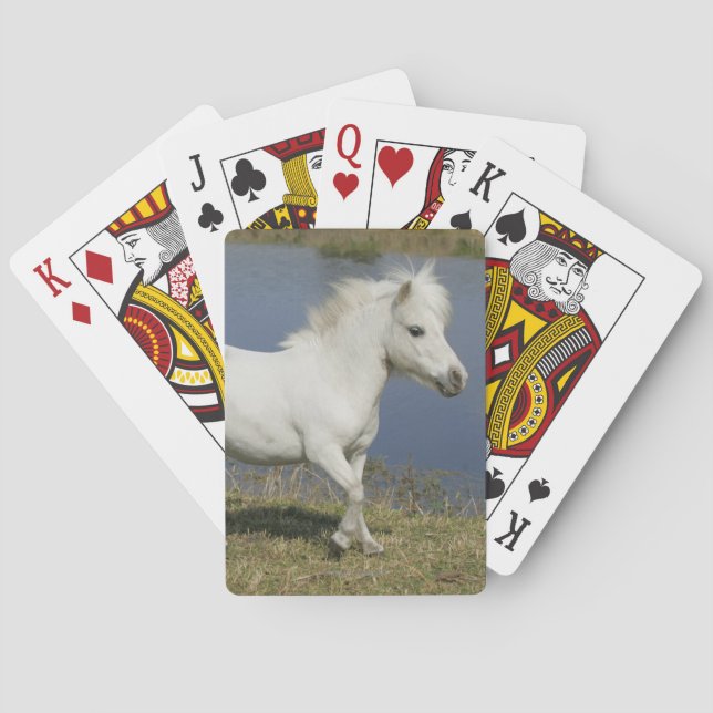 Miniature Horse Running Near Water Playing Cards (Back)