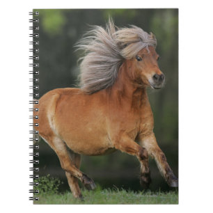 Miniature Horse Running Notebook