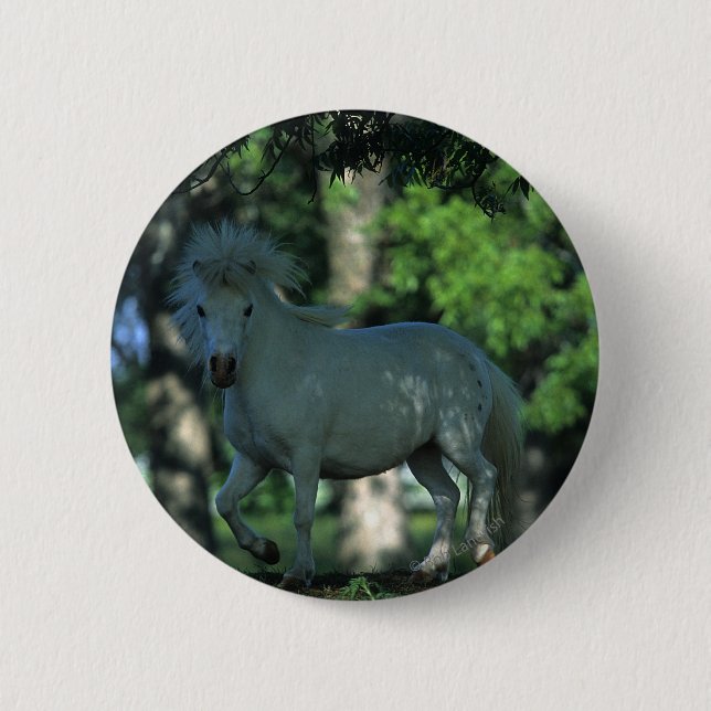 Miniature Horse Standing in the Trees 2 Inch Round Button (Front)