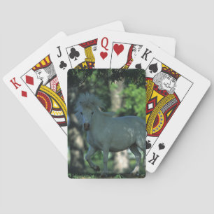 Miniature Horse Standing in the Trees Playing Cards