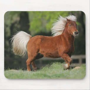 Miniature Horse Standing Mouse Pad