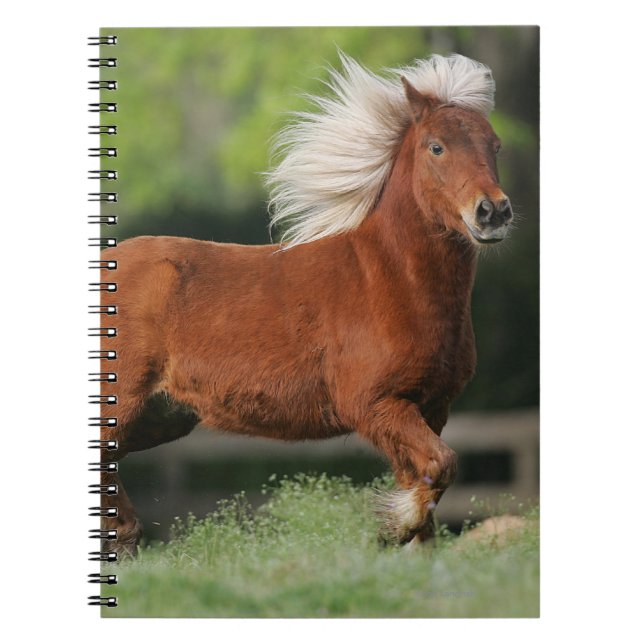 Miniature Horse Standing Notebook (Front)
