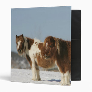 Miniature Horses Standing in the Snow Binder
