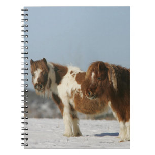 Miniature Horses Standing in the Snow Notebook
