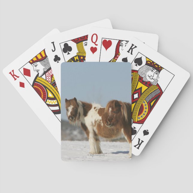 Miniature Horses Standing in the Snow Playing Cards (Back)