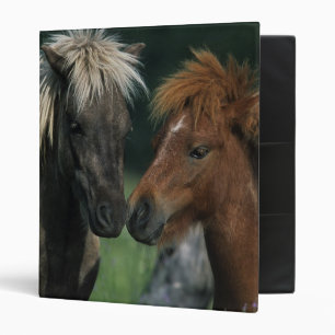 Miniature Horses Touching Binder