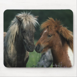 Miniature Horses Touching Mouse Pad
