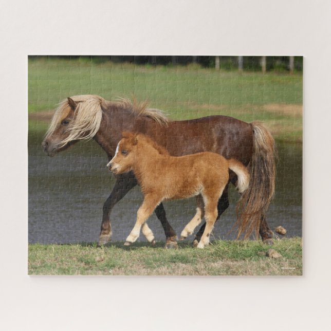 Miniature Mare and Foal Walking By Lake Jigsaw Puzzle (Horizontal)
