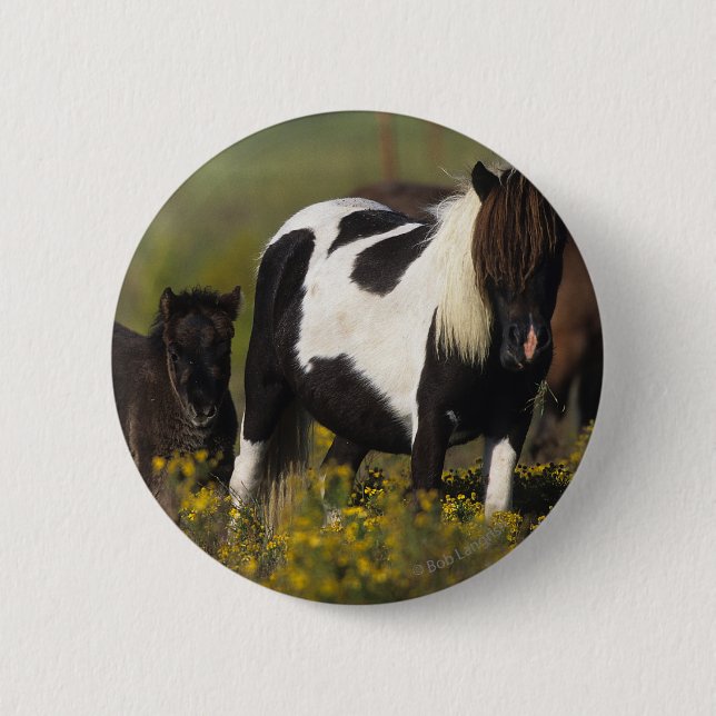 Miniature Mare & Foal in the Flowers 2 Inch Round Button (Front)