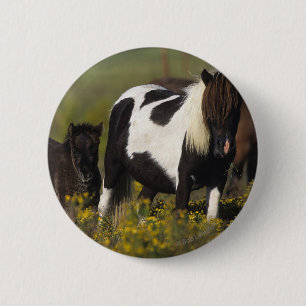 Miniature Mare & Foal in the Flowers 2 Inch Round Button