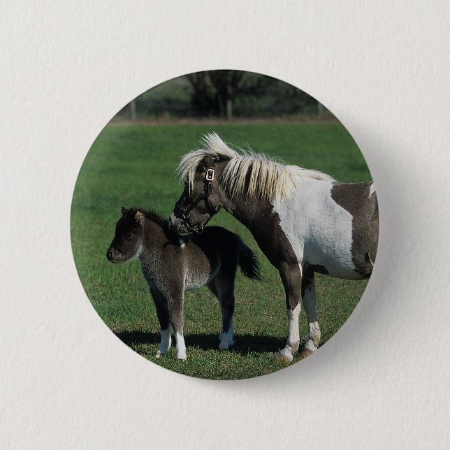 Miniature Mare & Foal Standing 2 Inch Round Button (Front)