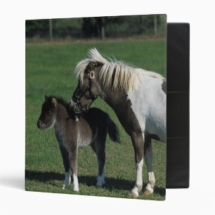 Miniature Mare & Foal Standing Binder